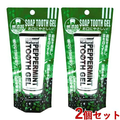 地の塩社 ちのしお ナチュラルせっけんはみがきジェルCS 80g×2個セット 無添加 CHINOSH