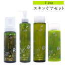 地の塩 ちのしお Ti-ina(ティーナ) クレンジングジェル 195g & 泡洗顔 200ml & 化粧水 195ml&乳液 145ml スキンケアセット C...