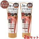 サロンドプロ ドレッシー カラートリートメント ダークブラウン 230g×2個セット 一度でツヤ染め 白髪用 SALON de PRO ダリヤ(DARIYA)【送料込(北海道除く)】