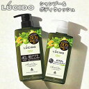 ルシード(LUCIDO) ハーバルシトラス 薬用スカルプデオシャンプー450ml&薬用デオドラントボディウォッシュ450ml 2種セット マンダム(mandom)【送料込(北海道除く)】