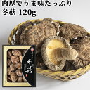 肉厚でうま味たっぷり どんこ 箱入 120g 竹田市 干し椎茸 乾し椎茸 しいたけ シイタケ 姫野一郎商店【送料込】