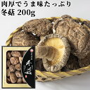肉厚でうま味たっぷり どんこ 箱入 200g 竹田市 干し椎茸 乾し椎茸 しいたけ シイタケ 姫野一郎商店【送料込】
