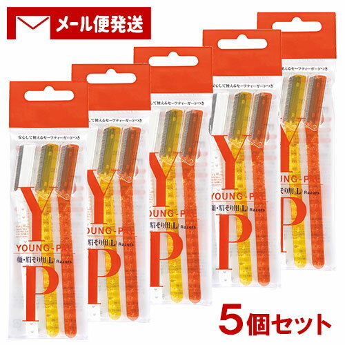 󥰥ѥ 顦 (L) 35ĥå ե ߤ եȥǥ (YOUNGPAL) ڥ᡼