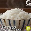 令和7年度産 中野のうるち米 にじのきらめき(精米) 300g×3個セット お試しサイズ約2合分 大分県豊後大野市清川町産 九州産白米 お米 農事組合法人グリーン法人中野【送料込(北海道除く)】