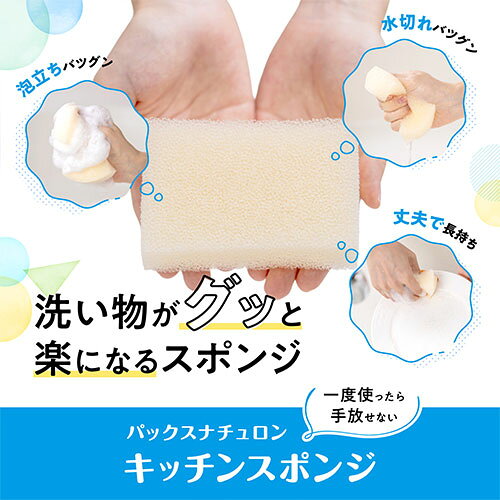 パックスナチュロン キッチンスポンジ (ナチュラル) 1個 PAX NATURON 太陽油脂