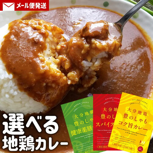 大分県産地鶏 豊のしゃもスパイスカレー 選べる3個セット 39種類の香辛料&九州産の野菜使用 着色料・増粘剤・人工甘味料・小麦粉不使用..