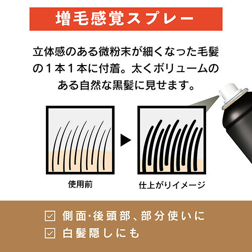柳屋 トップシェード スピーディーヘアカバースプレー ラージサイズ 250g 薄毛対策増毛スプレー TopShade yanagiya - Image 2