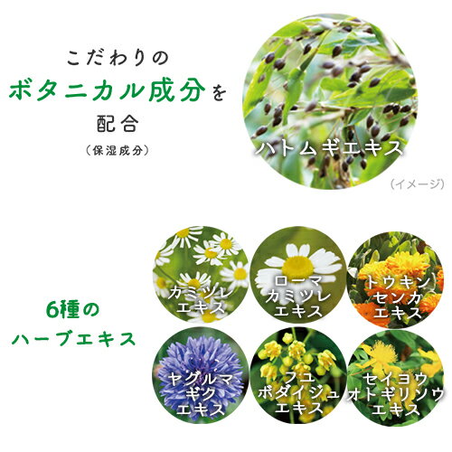 ウテナ マジアボタニカ スキンコンディショナー 500mL 大容量 マスク肌荒れに magi...