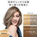 「ポイント10倍 5月10日〜11日」 got2b（ゴットゥービー） ボンディング・カラーマスク アイボリーグレージュ 180g ヘアカラー アットコスメ 2