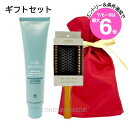 ★店内最大6倍★【ギフトセット】アヴェダ ミニパドルブラシ+アヴェダ スカルプ ソリューション エクスフォリエイティング スカルプ トリートメント 150ml