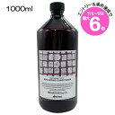 ★店内最大6倍★ダヴィネス ナチュラルテック コンディショナー RP 1000ml ポンプなし(8004608240426)