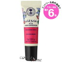 ★店内最大6倍★【メール便可】ニールズヤードレメディーズ ワイルドローズアイブライトナー 10ml(0000096197691)