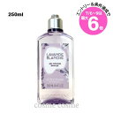 ★店内最大6倍★ロクシタン ホワイトラベンダー ボディミルク 250ml(3253581770092)