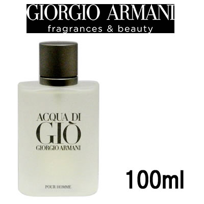 ジョルジオ アルマーニ アクアディジオ プールオム オードトワレ 100ml 【 宅配便 送料無料 】 ※沖縄は9800円以上送料無料