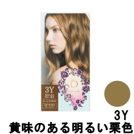   資生堂 ベネフィーク ヘアカラー 3Y 黄味のある明るい栗色 