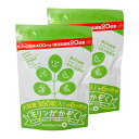 モリンガ かぞく 360粒 約6ヶ月分 2個セット [ モリンガかぞく モリンガ家族 腸活乳酸菌 乳酸菌 サプリ サプリメント 腸活 ダイエット ビタミン ミネ...