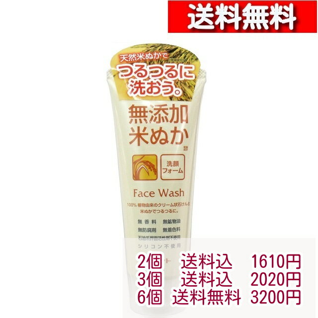 ロゼット 無添加 米ぬか 洗顔フォーム 140g [4901696534069] 石けん 潤い 保湿 防腐剤不使用 シンプル処方 洗顔フォーム 毛穴 無添加洗顔料 セット 2個から