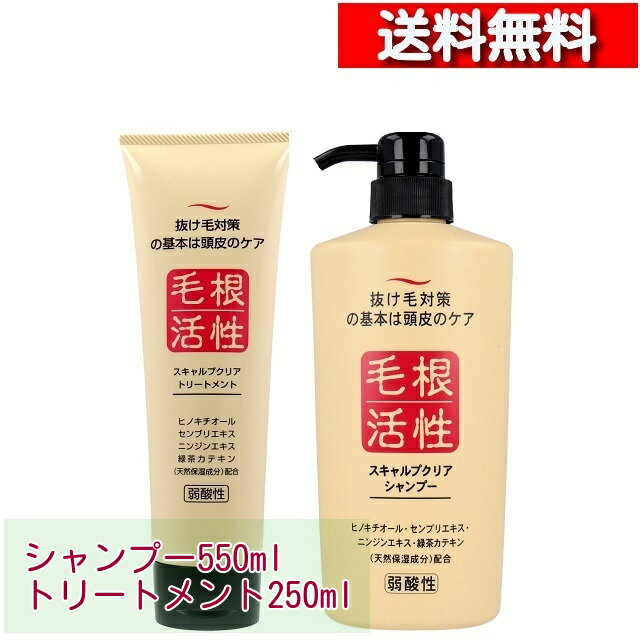 [ ペア セット ] 毛根活性 スキャルプクリア シャンプー 550ml トリートメント 250ml セット [4964653101247][4964653101254] 抜け毛対..