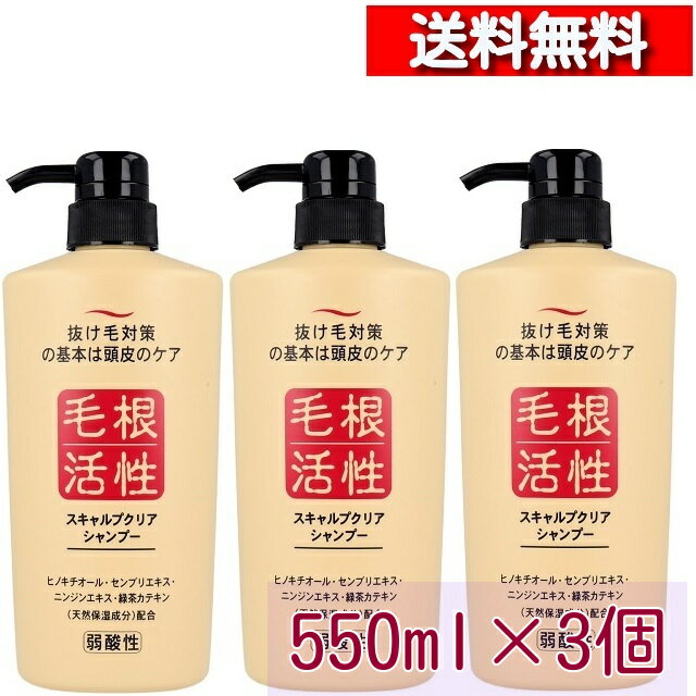 [ 3本 セッ ト] 根活性成 スキャルプクリア シャンプー 550mL [4964653101247] 抜け毛対策 抜け毛予防 頭皮ケア スカルプ センブリエキ..