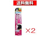 [ 2個 セット ] 柳屋 レディース トップシェード スプレーウィッグ 自然な明るい黒色 100g [4903018133646-SP] 無香料 携帯 女性用 薄毛対策 微粉末 増毛スプレー ボリュームアップ ヘアウィッグをつけたような増毛感覚