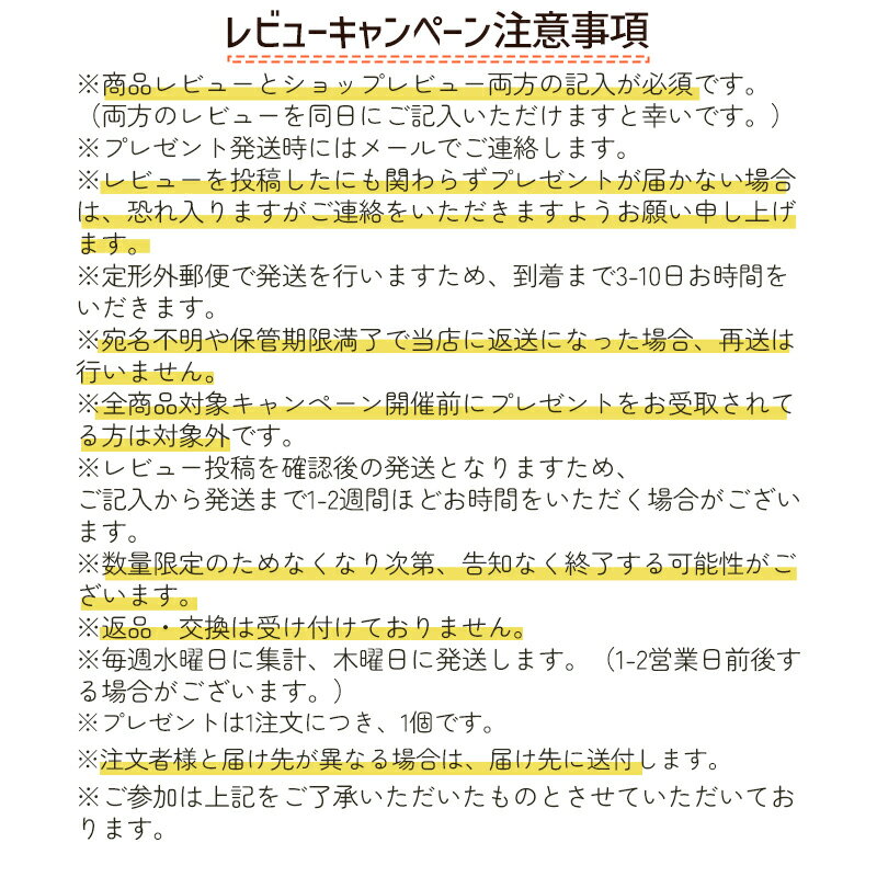 ●ポイント10倍＆割引クーポン●LUNASOL ルナソル スタイリング アイブロウ ペンシル (ホルダー)【定形外郵便送料無料】 ギフト 誕生日 プレゼント15時までの決済確認で即日発送！ 3