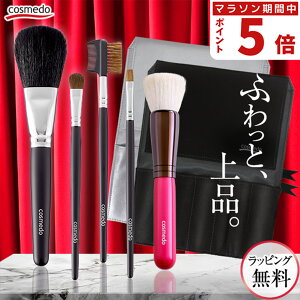 【RSL】熊野筆 メイクブラシ セット 5本(ケース付き)スターターセットプラス 日本製(天然毛 メイクブラシセット 熊野筆セット フェイスブラシ チークブラシ アイシャドウブラシ メイクブラシケース 収納 誕生日 プレゼント ギフト メンズメイク 女性 携帯 熊野化粧筆)