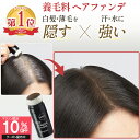 【期間限定10%OFF〜5/16 1:59】【在庫限り】【 白髪 薄毛 自然に隠す 養毛 パウダー 】薄毛隠し 白髪隠し ハゲ隠し ヘアファンデーション ポンポ...