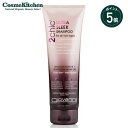 【ポイント5倍】【giovanni】 2chic スリーク シャンプー250mL | ジョヴァンニ ジョバンニ シャンプー オーガニック キューティクル ダメージケア カラーリングケア 潤い 保湿 ヘアケア 頭皮 地肌ケア 髪 指通り さらさら ツヤ 女性 メンズ 広がりやすい髪