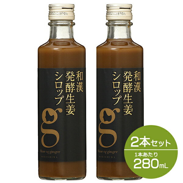 P10倍★9日20:00～16日1:59まで 【正規品】【セット】 和漢発酵生姜シロップ 280mL 2本セット 生姜ドリンク ジンジャーエール 生姜湯 無添加 温活 健康食品 ダイエット 冷え性 冷え対策 免疫 ha…