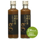 【セット】北海道アンソロポロジー 和漢発酵生姜シロップ 280mL 2本セット ip10