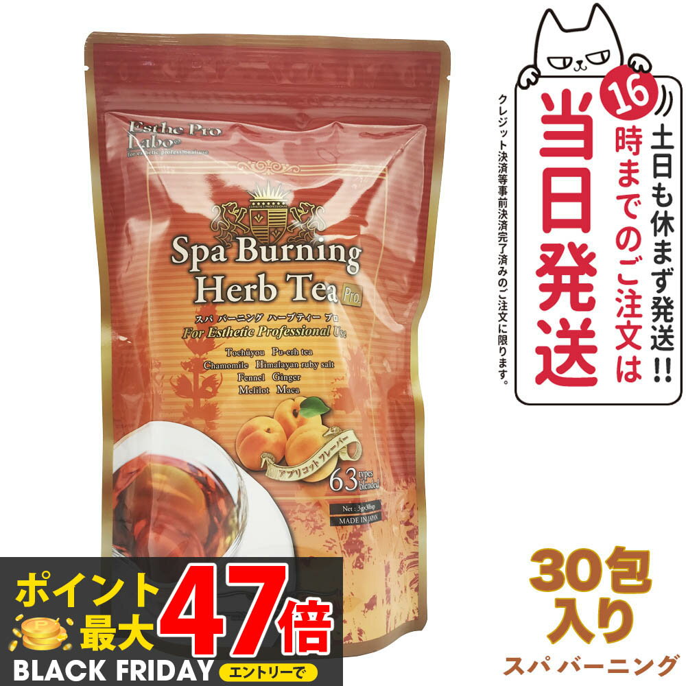 【賞味期限2027/03】エステプロラボ Esthe Pro Labo スパ バーニング ハーブティー プロ 3g×30 ダイエット スッキリ 天然素材 おいしい オーガニック ハーブティー 全国送料無料