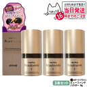 【3個セット 国内正規品】アデランス ヘアプラス ビューファンデパウダー ダークブラウン 8g Aderans 送料無料
