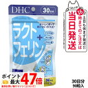 【賞味期限2028/03】ディーエイチシー DHC カルニチン 60日分 300粒 サプリメント ダイエット 健康食品 健康サプリ 健康応援 マルチサプリ 1/2/3/5個 送料無料
