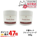 【2個セット 国内正規品】WOVE style ウォブスタイル フレッシュソープ 300g 業務用 洗顔料 石鹸 石けん スキンケア 送料無料