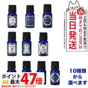 GPP アロマエッセンス ブルーラベル アロマオイル フローラル系 カンキツ系 ハーブ系 各8mL アロマ 加湿器 選べる 送料無料