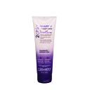 送料無料(P) ジョバンニ ジョヴァンニ giovanni 2chic ダメージ コンディショナー 250ml トリートメント ヘアケア オーガニック 自然派 植物エキス ボタニカル ダメージケア キューティクル カラーケア パーマ パサつき 枝毛 しっとり 保湿 うるおい まとまる