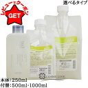 【4H限定★先着クーポン 14日20時〜】ルベル LEBEL THEO ジオ スタンダード シャンプー マイルド 選べるタイプ 【本体:250ml・付替パウチ:500ml・1000ml】
