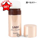 【5/3~6限定★200円OFFクーポン】●在庫処分特価● ルアン RUAN SMH ヘアファンデーション スティックタイプ 3g 選べるカラー 【ヘアファンデ...