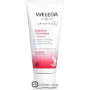 ヴェレダ 【WELEDA】 歯みがきプラント 75ml 海外仕様パッケージ 【メール便（ゆうパケット）対象外】