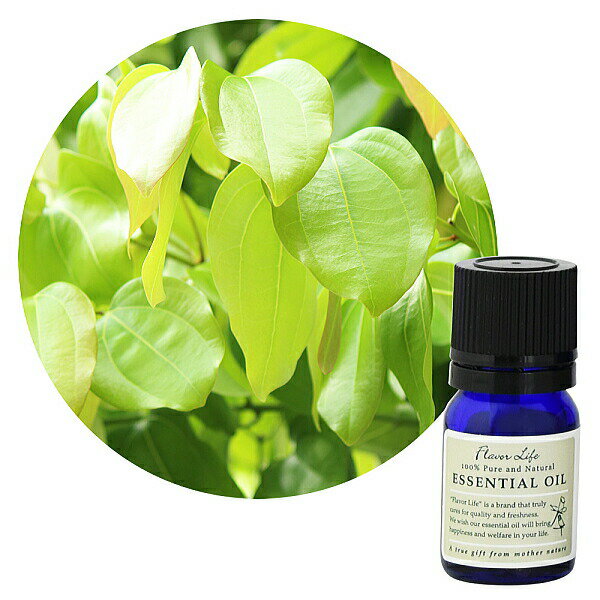 Flavor life（フレーバーライフ） シナモンリーフ 10ml ( エッセンシャルオイル アロマオイル 精油 )