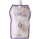 ナンバースリー カラーコンシャス OX6 1200ml (NO3 ヘアカラー剤 2剤 カラー剤 オキシ 業務用 白髪染め 染毛剤 ヘアカラー サロン 美容室 美容院 サロン専売品)