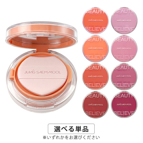 JUNGSAEMMOOL アーティストクッションブラッシュ