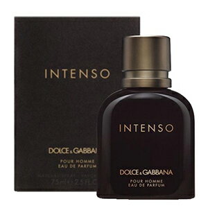 送料無料 ドルチェ＆ガッバーナ D&G プールオム インテンソ オードパルファム EDP SP 40 ...