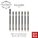  ザセム コンシーラー ペンシル thesaem カバーパーフェクション コンシーラーペンシル 彫刻ペンシル 陰影 リップライン メイク直し 涙袋 メイク ペンシル ライナー くすみ シミ カバー くま 韓国コスメ 定形内 発送