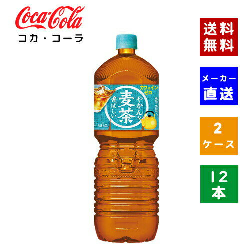 楽天COSME PLAZA 楽天市場店【クーポン利用で最大150円OFF】【コカ・コーラ社直送】【送料無料】【ケース販売】やかんの麦茶 from 一（はじめ）PET 2L 2ケース（12本）【4902102141260】