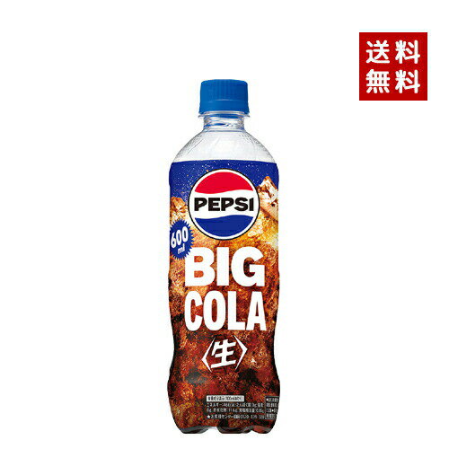 y[zyzSUNTORY Tg[ yvV BIG  600ml PET 1P[X~24{y4901777361249z