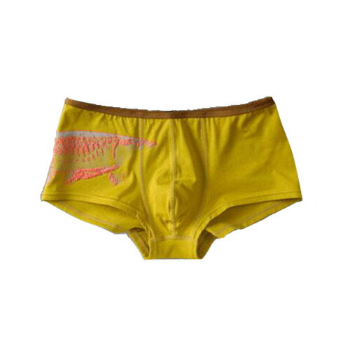 GUOYA 【25日全品P5倍】【25日限定セール】GUOYA アンダーウェア Short 「Arowana」 Gold #Mサイズ