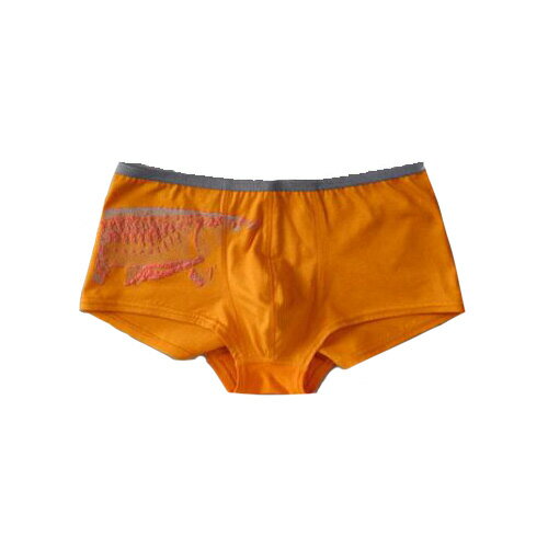 GUOYA 【25日全品P5倍】【25日限定セール】GUOYA アンダーウェア Short 「Arowana」 Orange #Lサイズ