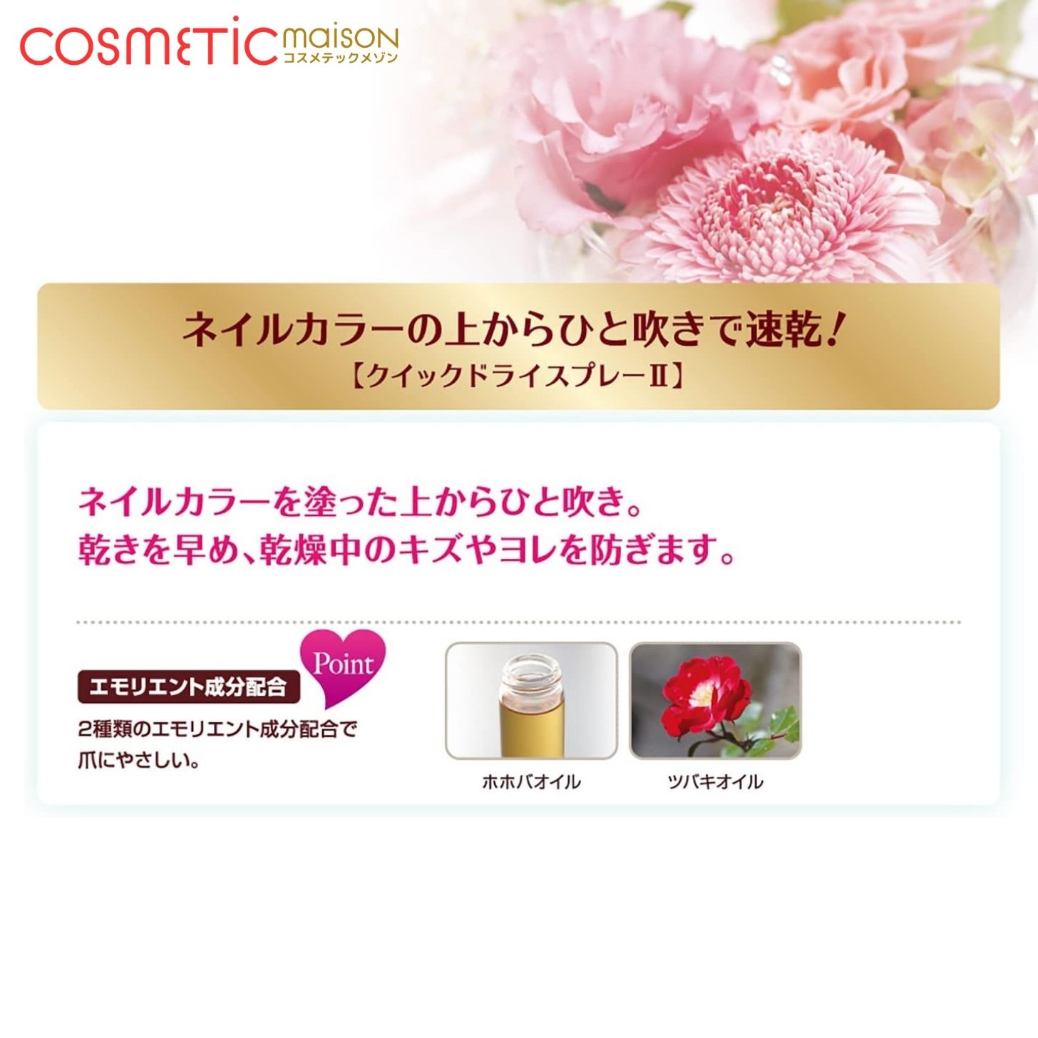 ������̵���ۥ��������ͥ��ꥹ�� �����å��ɥ饤���ץ졼 II 100g koji Nailist �ͥ��륫�顼��®�����ȥåץ����Ȥ����򤹤륹�ץ졼