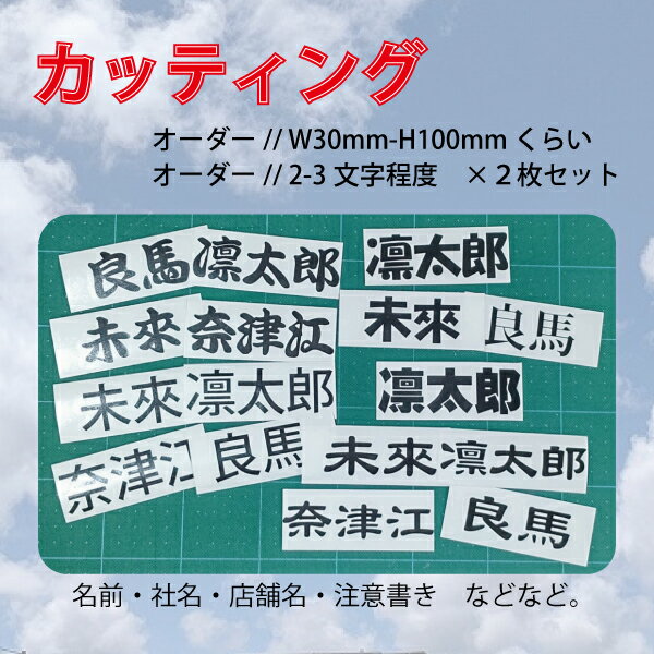 送料無料！ポイント消費☆お試し♪　カッティング　名前　会社名etc.　2枚セット（約H30mm-W100mm）　全1..